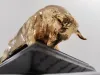 24k Vergoldete Bronzeskulptur Stier 2