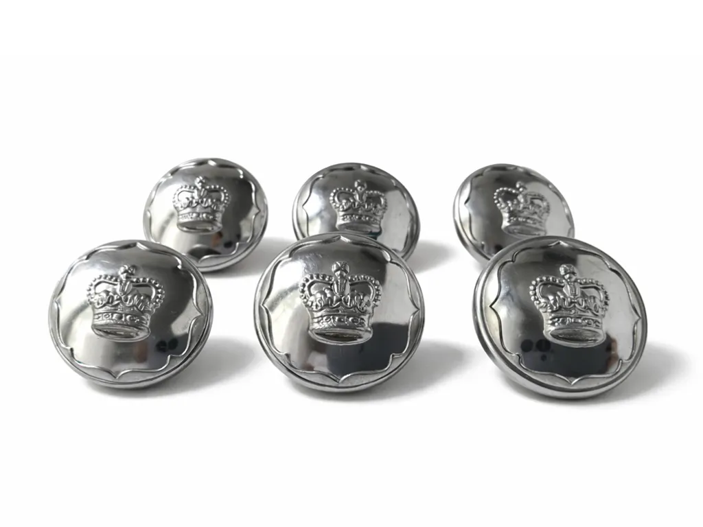 6 Ayrshire Earl Of Carrick's Own Yeomanry Anodised Aluminium Staybrite Military Uniform 25mm Buttons