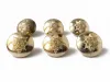 6 Military Uniform Buttons Worcestershire And Sherwood