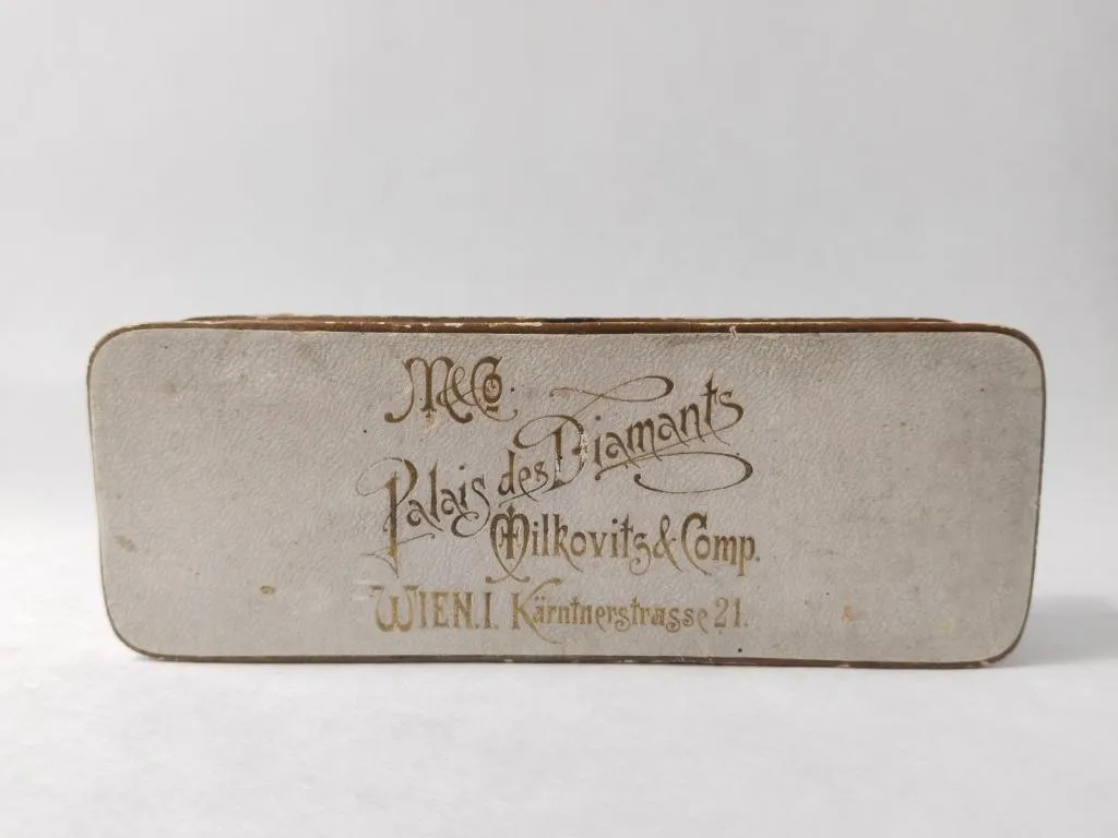 Antike Silber Lorgnette Brille 1900s Wiener Luxus 14