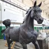 Arabian Horse Bronze Sculpture 2