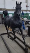 Arabian Horse Bronze Sculpture 4