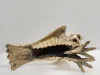 Brass Eagle Statue 9