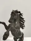 Bronze Rearing Horse Statue 2