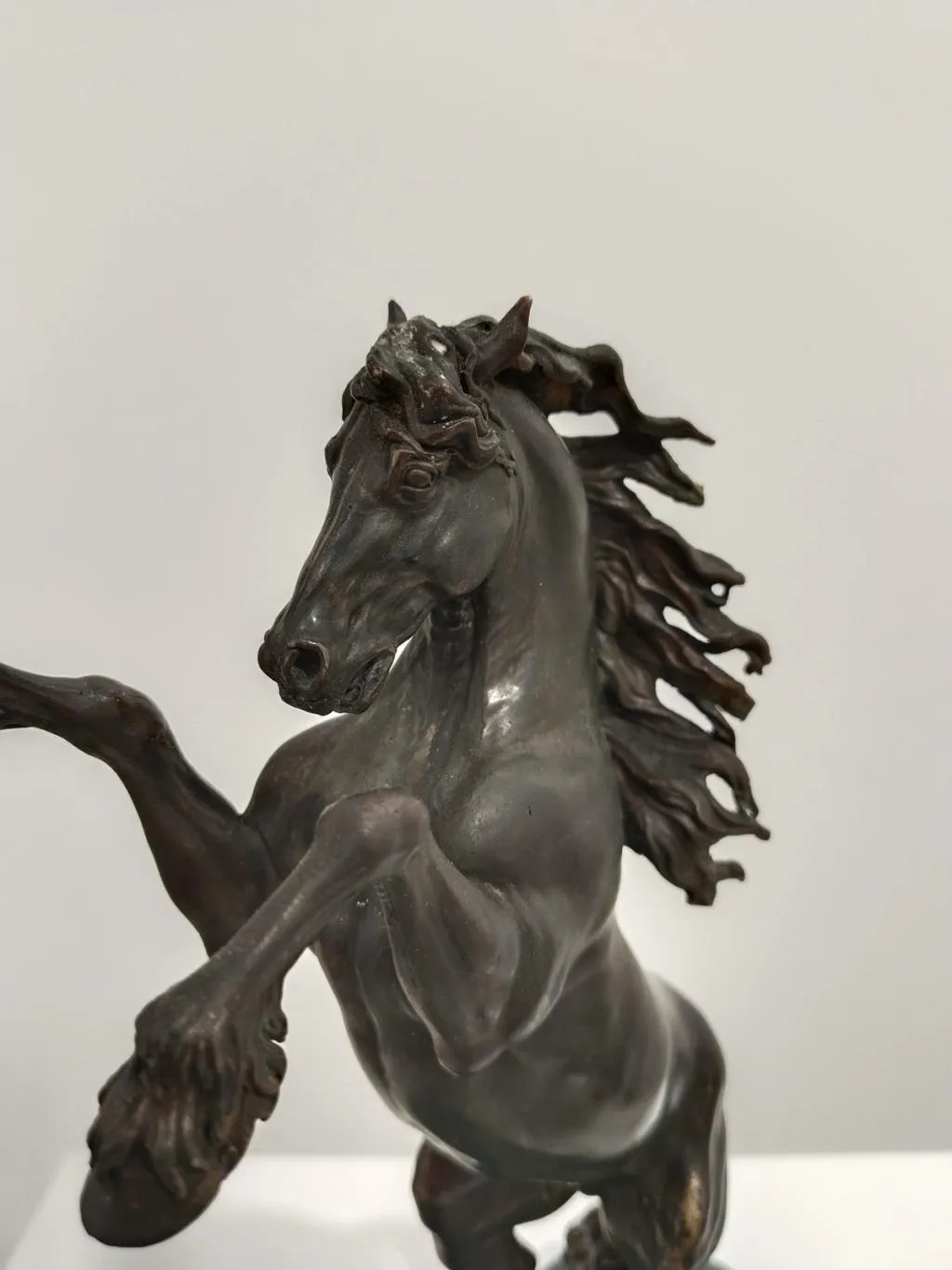 Bronze Rearing Horse Statue 2