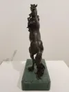 Bronze Rearing Horse Statue 8