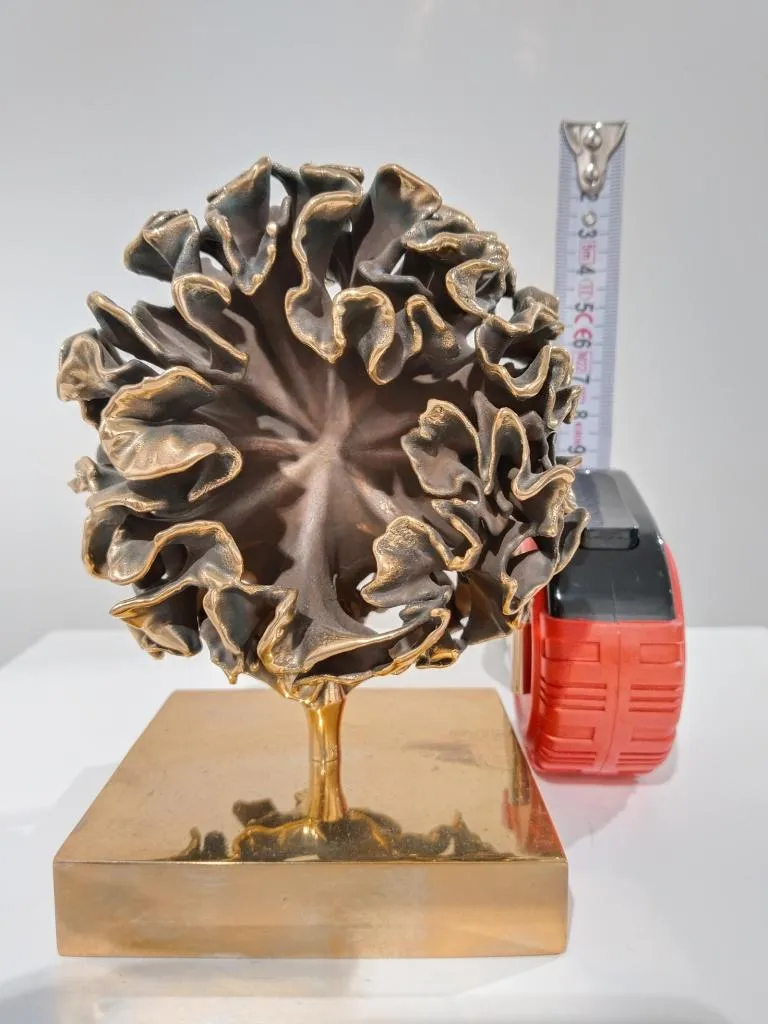 Contemporary Cast Bronze Sculpture Organic Geometry I 7