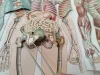 Male Torso Anatomical Model of Human Body Paper Fold Out 16