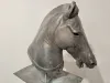 Medici Riccardi Horse Head Grünspan Bronze Guss Replik 3