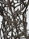 Organic Style Outdoor Dining Table with Branch Base 2