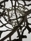 Outdoor Bronze Coffee Table in Twig Design 7