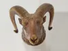 Stirrup Cup With Wild Ram Head 2
