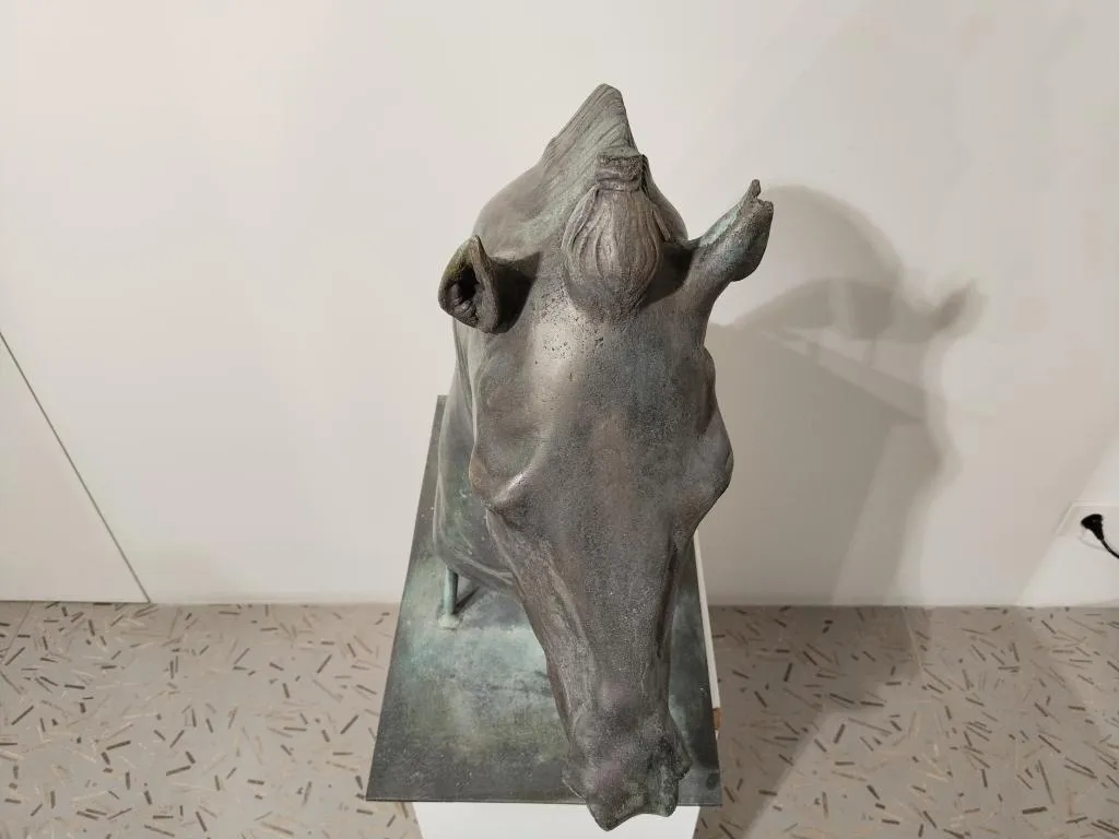 The Medici Riccardi Horse Head Verdigris Cast Bronze Copy 6