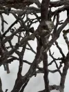 Twig Design Bronze Garden Stool 2 2