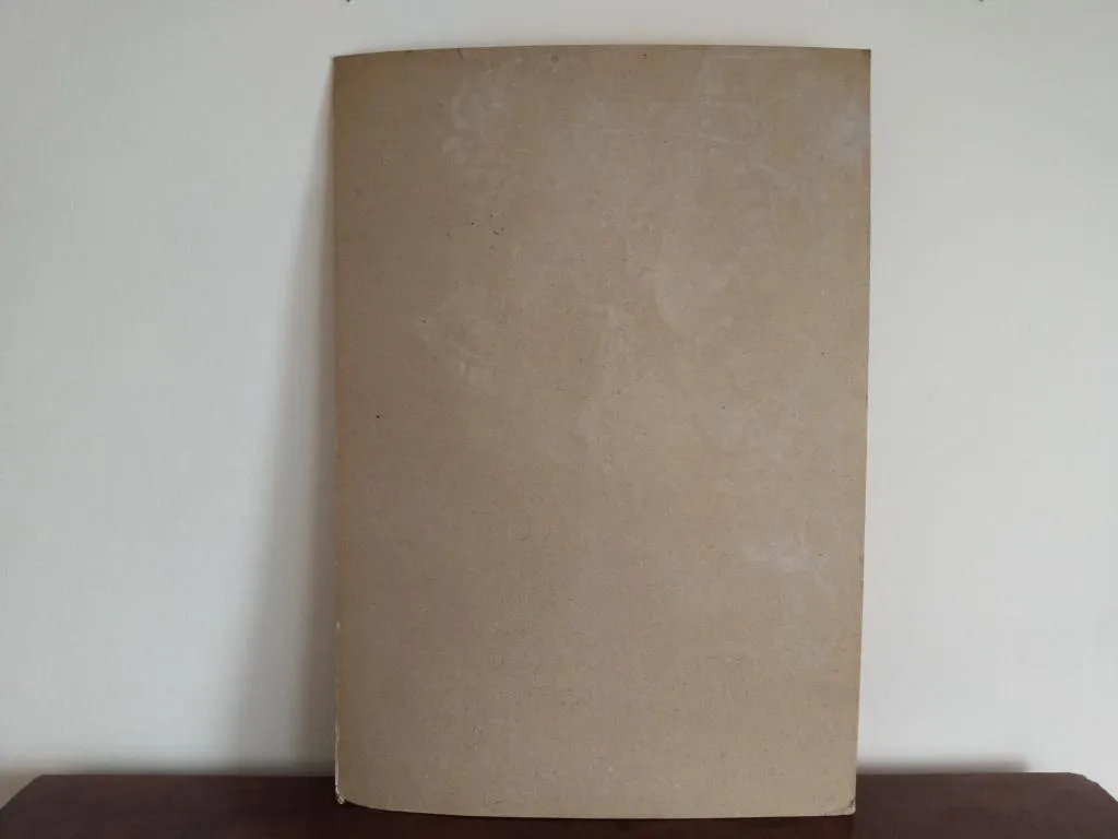 Vintage Human Medical Anatomy Posters 1950s 13