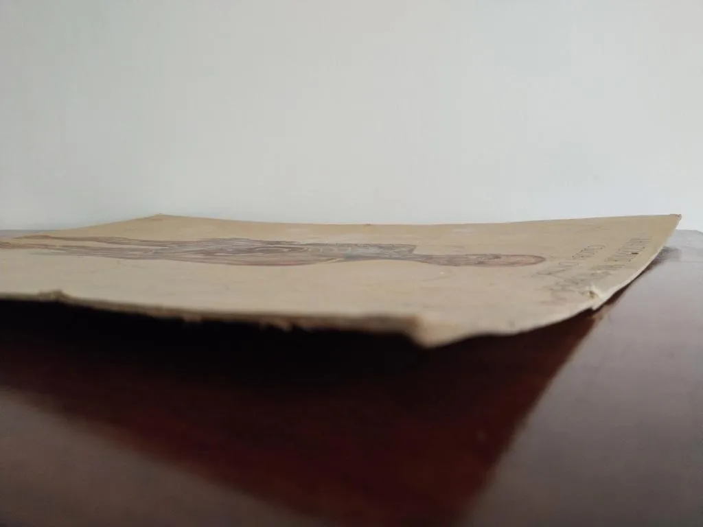 Vintage Human Medical Anatomy Posters 1950s 15