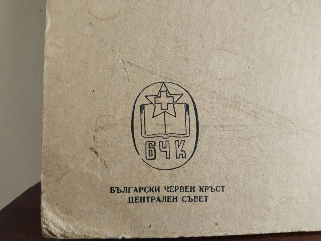 Vintage Medizinische Anatomie-Lernposter 1950er 11