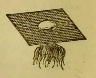 Illustration von Kampfer auf einem Metalldrahtgewebe mit darunterliegenden Flammen, die die Verbrennung der Dämpfe zeigen.
