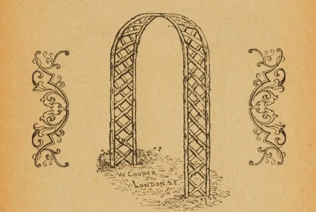 Catalog illustration of a rustic garden arch with plain edges, a rounded top, and crossed trellis panels for climbing plants.