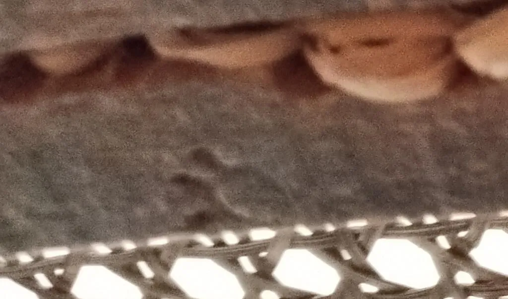 Close-up of an embossed half-sun or half-star symbol pressed into the underside of a wooden Thonet chair frame, located beneath the cane seat.