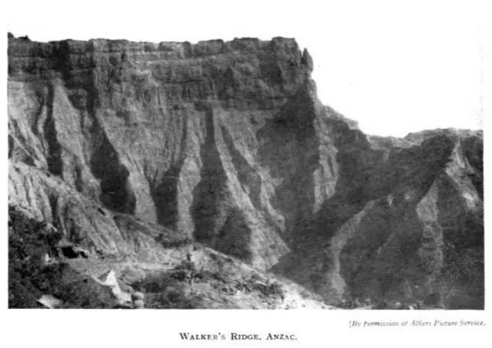 Walker’s Ridge, eine beeindruckende Verteidigungsstellung, die sich für die alliierten Truppen als äußerst schwer zu überwinden erwies.